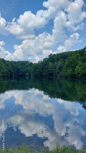 lake and forest