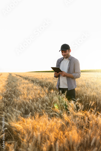 Farmer examines the field of cereals and sends data to the cloud from the tablet. Smart farming and digital agriculture. 