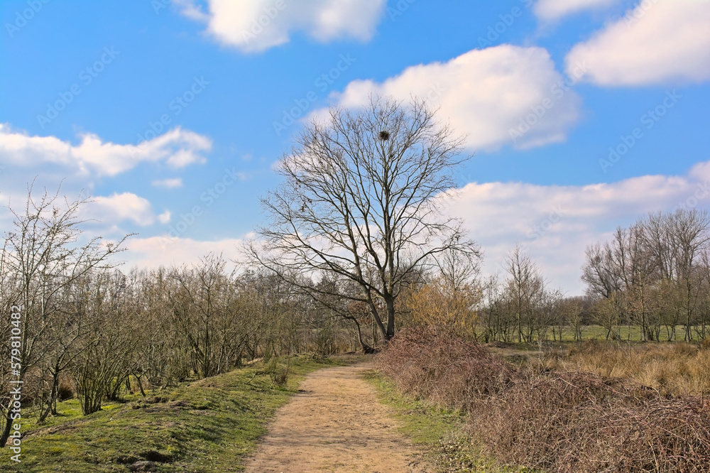 Hiking trail along meadows with bare trees trees under a blue sky with clouds in Kalkense meersen nature reserve, Weteren, Flanders, Belgium