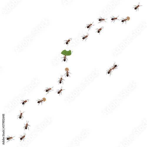 Ant team on wall, bug march set. Pests invasion, macro group line, trail for food, working team, spread insects. Vector beetles current isolated illustration, small nature concept