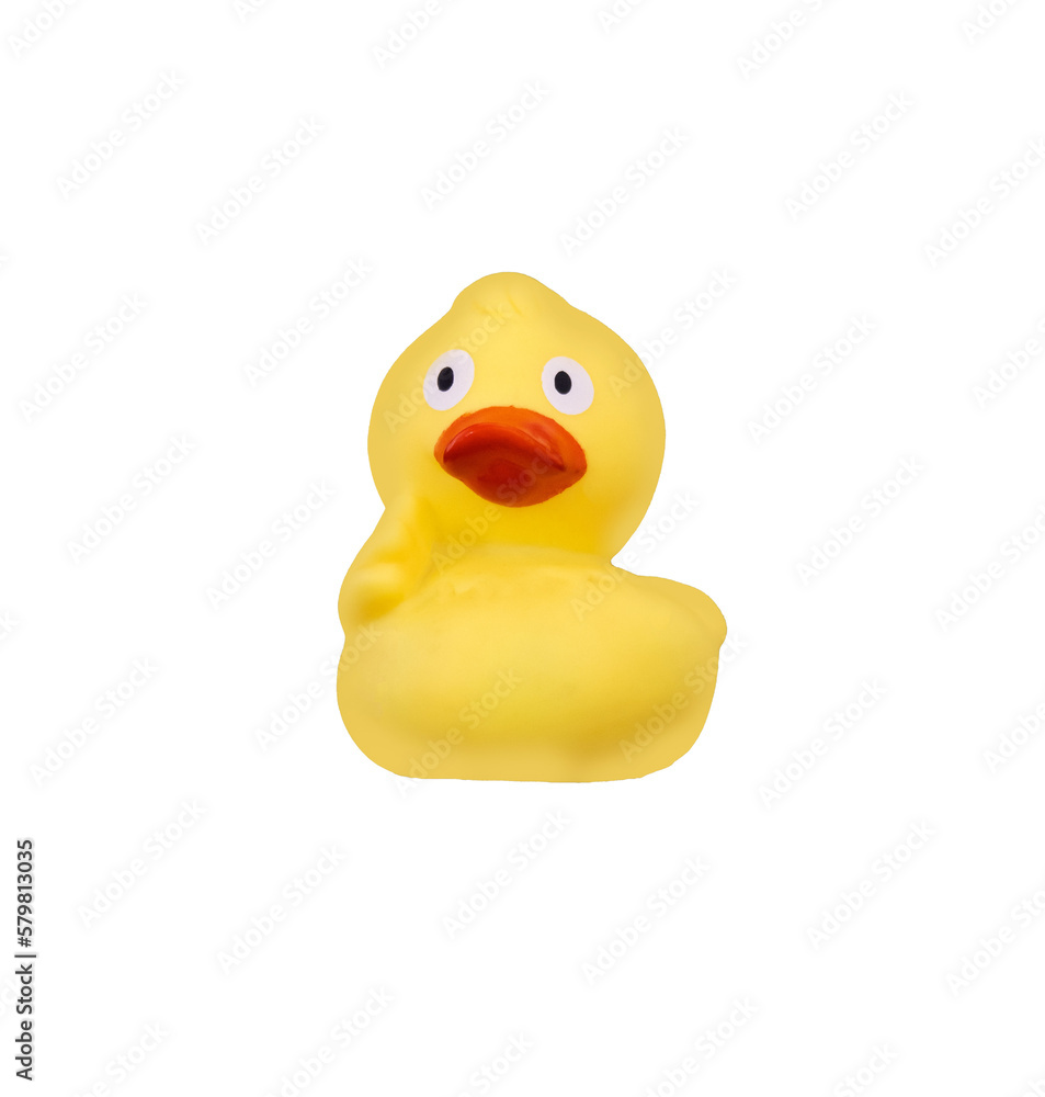 rubber duck isolated rubber duck isolated