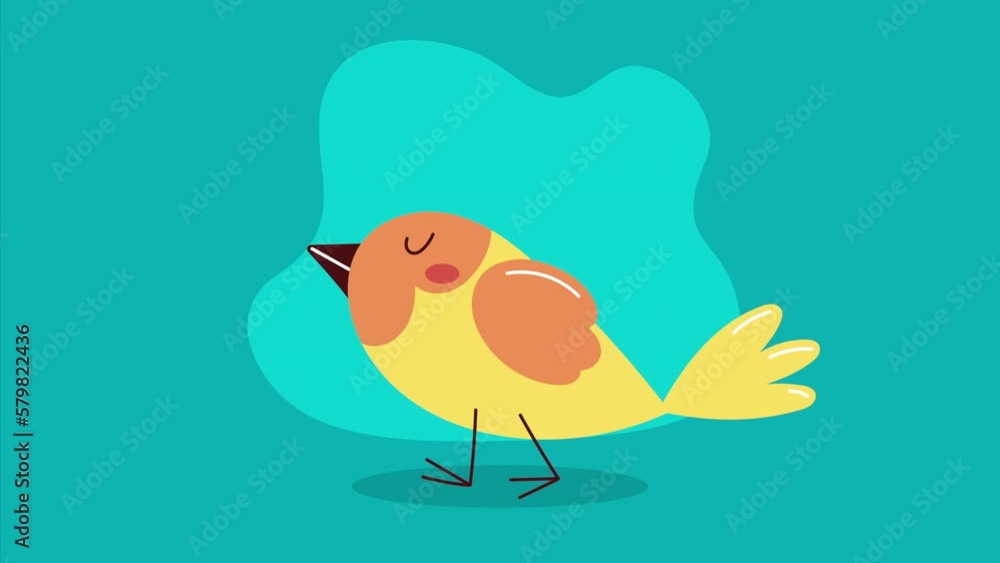 little bird animal character animation little bird animal character animation