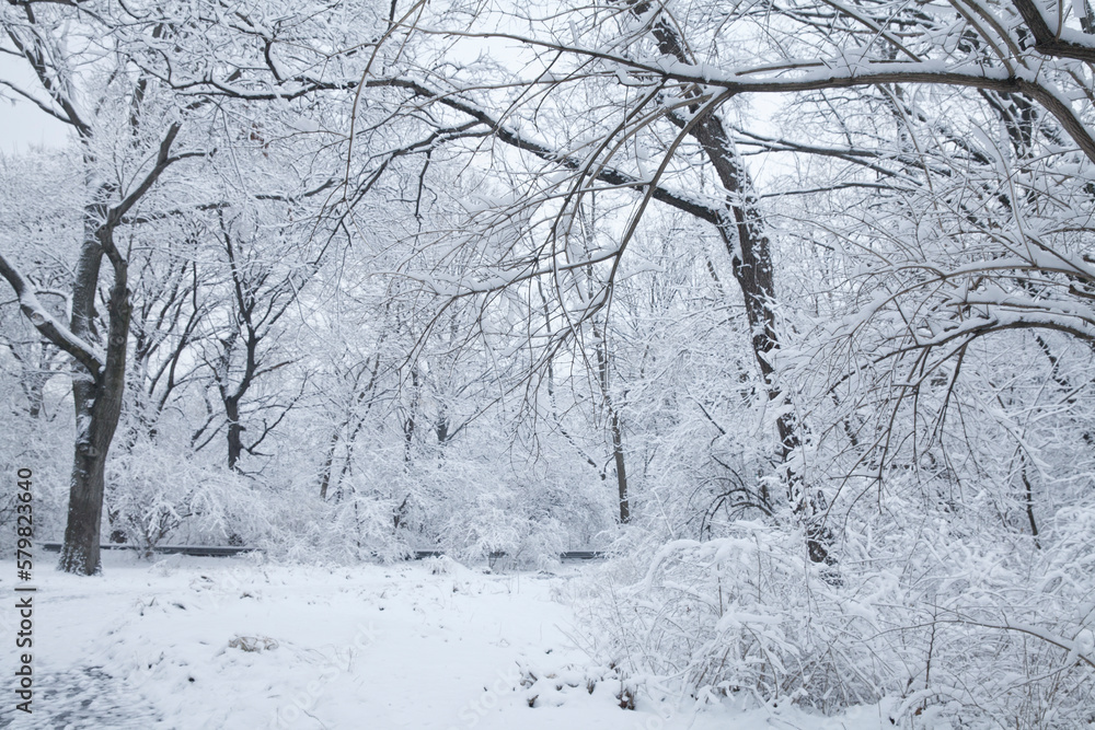 Fototapeta premium Winter snow scene at New York City.
