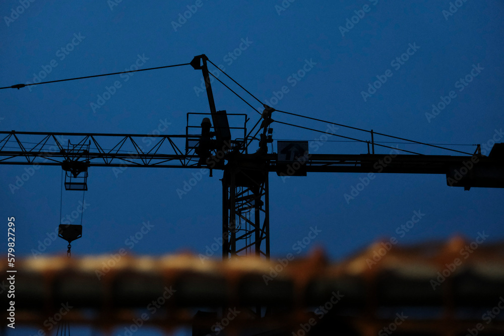 Picture of a Crane