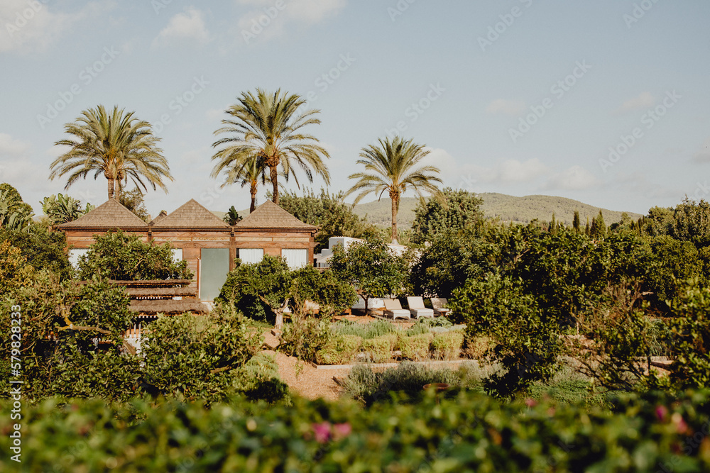 Fototapeta premium Paysage vert à Ibiza