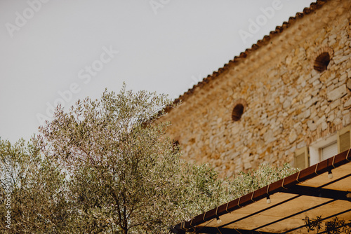 Maison provençale en brique dans les oliviers photo