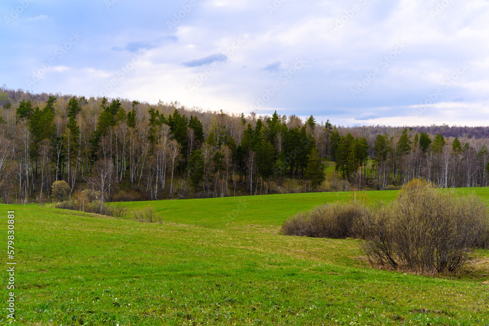 South Ural forest with a unique landscape, vegetation and diversity of nature. South Ural forest with a unique landscape, vegetation and diversity of nature.