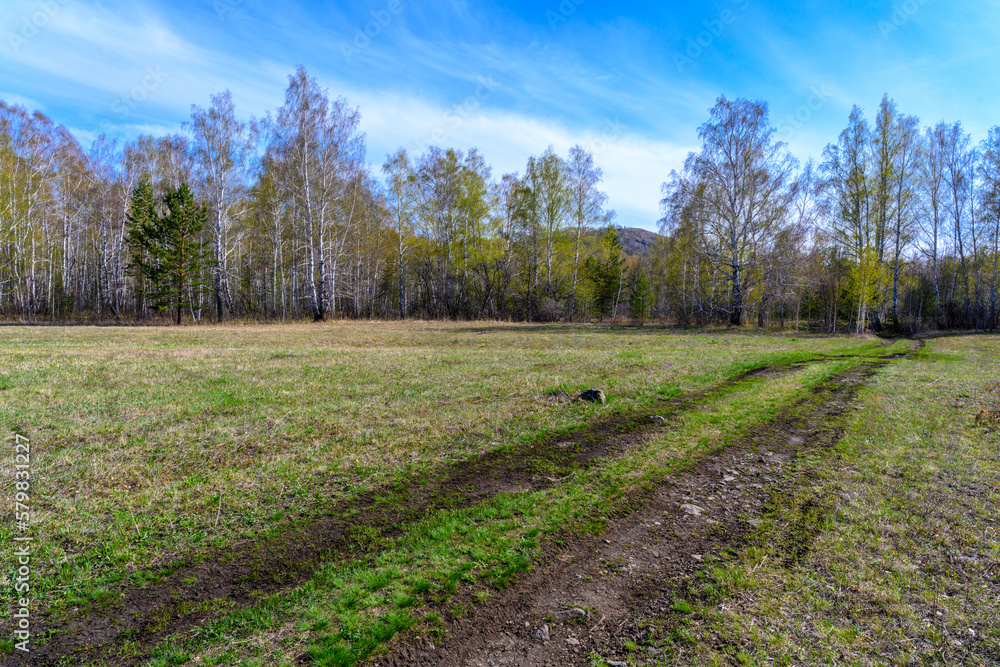 South Ural forest road with a unique landscape, vegetation and diversity of nature. South Ural forest road with a unique landscape, vegetation and diversity of nature.
