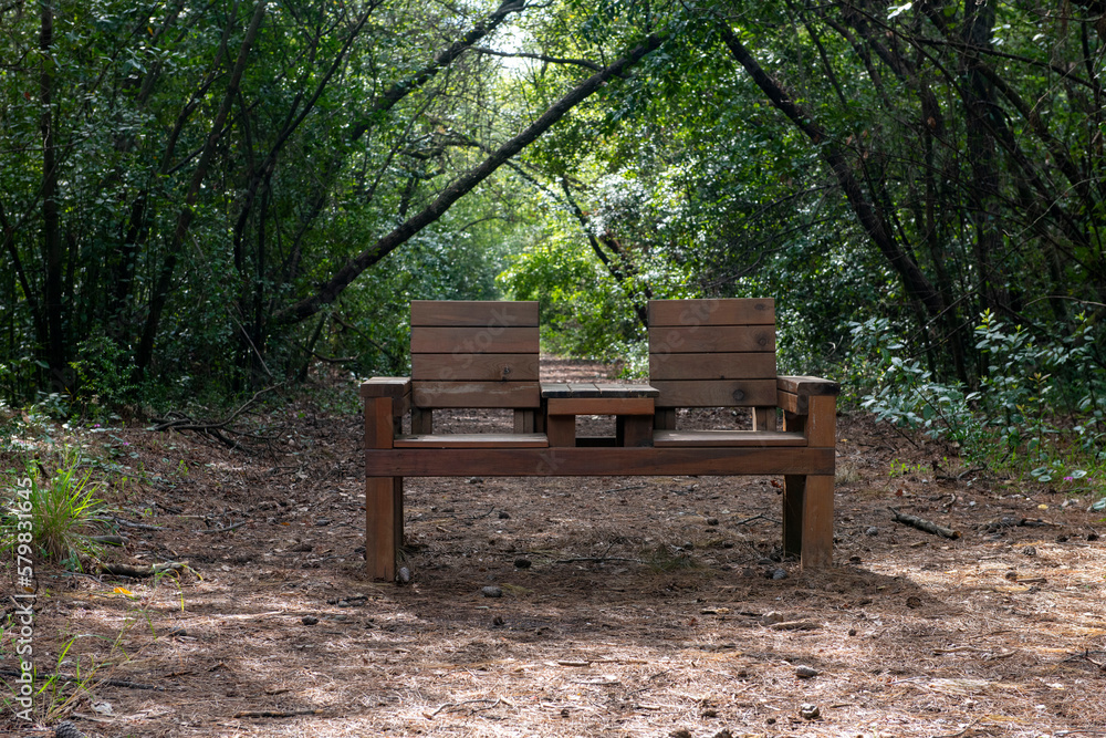 Green oriental sweetgum forest, Liquidambar orientalis, endemic to Turkey, Marmaris Gunnucek Milli Parki , Mugla