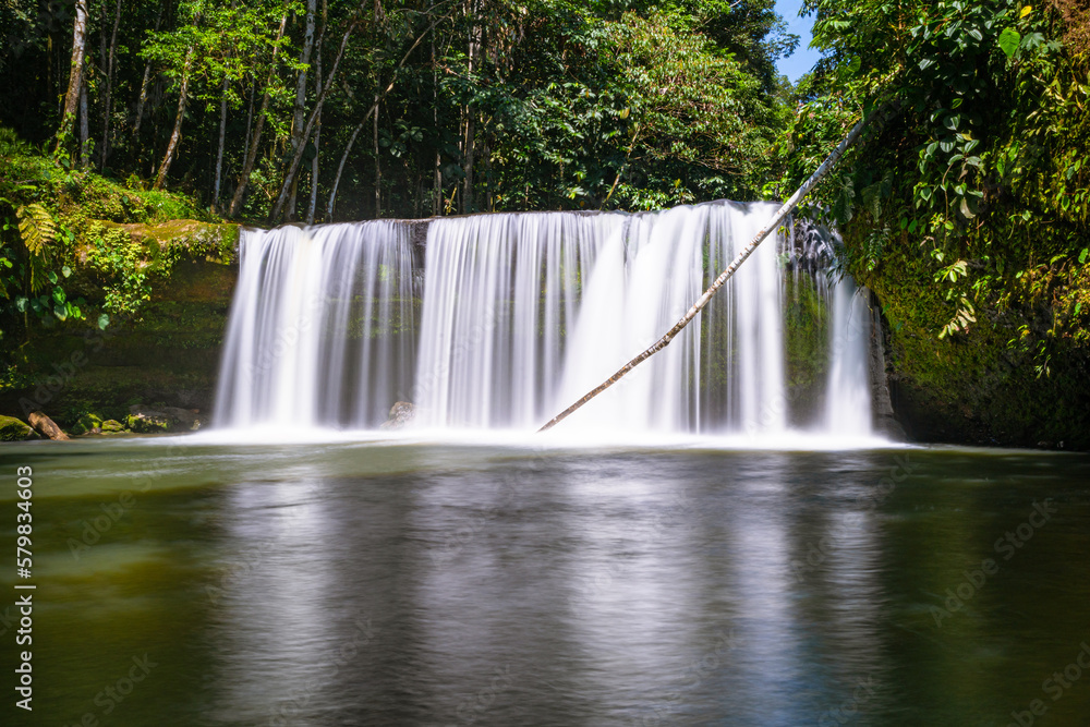 Naklejka premium Fantasy landscape, forest and waterfall in the Ecuadorian jungle
