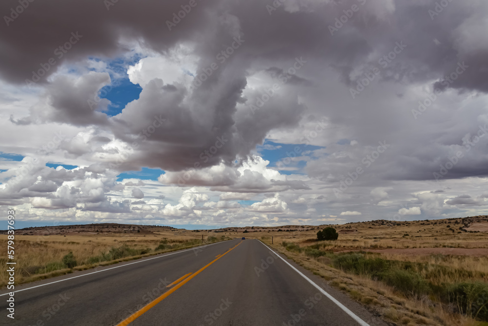 Long empty highway travels through desert of American Southwest near near Moab, Island in the Sky District, Canyonlands National Park, San Juan County, Utah, USA. Dark clouds in sky. Road trip freedom