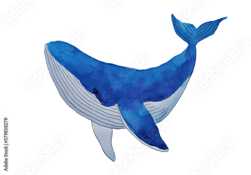 Blue whale watercolor art isolated on white background