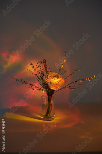 beautiful flowers in sunset light