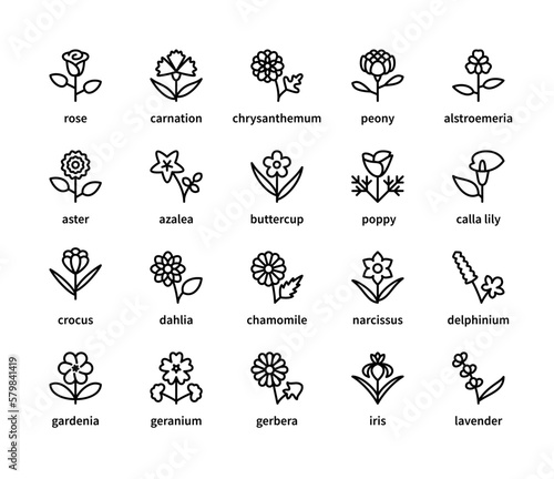 Flowers vector line icons. Isolated icon collection on white background. Flowers symbol vector set.