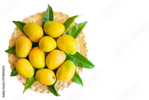 Mangoes of alphonso cultivar fully ripen with yellow orange colors placed on the wooden bamboo weave with mango leaves in circular arrangement and used differential focus in white background. photo