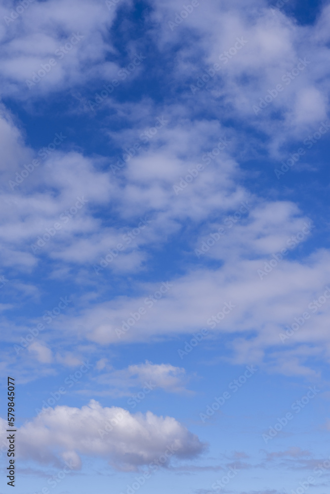 A blue sky filled with fluffy clouds. Vector cotton texture background A blue sky filled with fluffy clouds. Vector cotton texture background