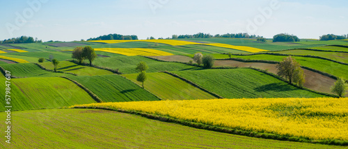Spring farmland in the hills of Roztocze in Poland.  Young green cereals.  Blooming rapeseed. Low shining sun illuminating fields, Trees and bushes. Roztocze. Eastern Poland.