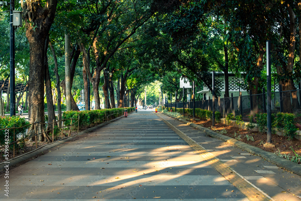 Obraz premium A park with trees and grass in a sunny day