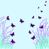 On a blue background, lavender bushes and blue butterflies fly.