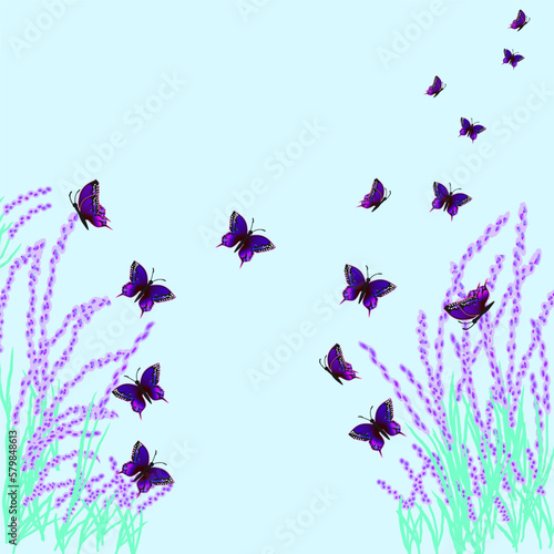 On a blue background  lavender bushes and blue butterflies fly.