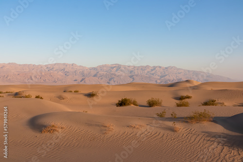 Scenic view on natural ripple sand pattern during sunrise at Mesquite Flat Sand Dunes  Death Valley National Park  California  USA. Morning walk in Mojave desert with Amargosa Mountain Range in back