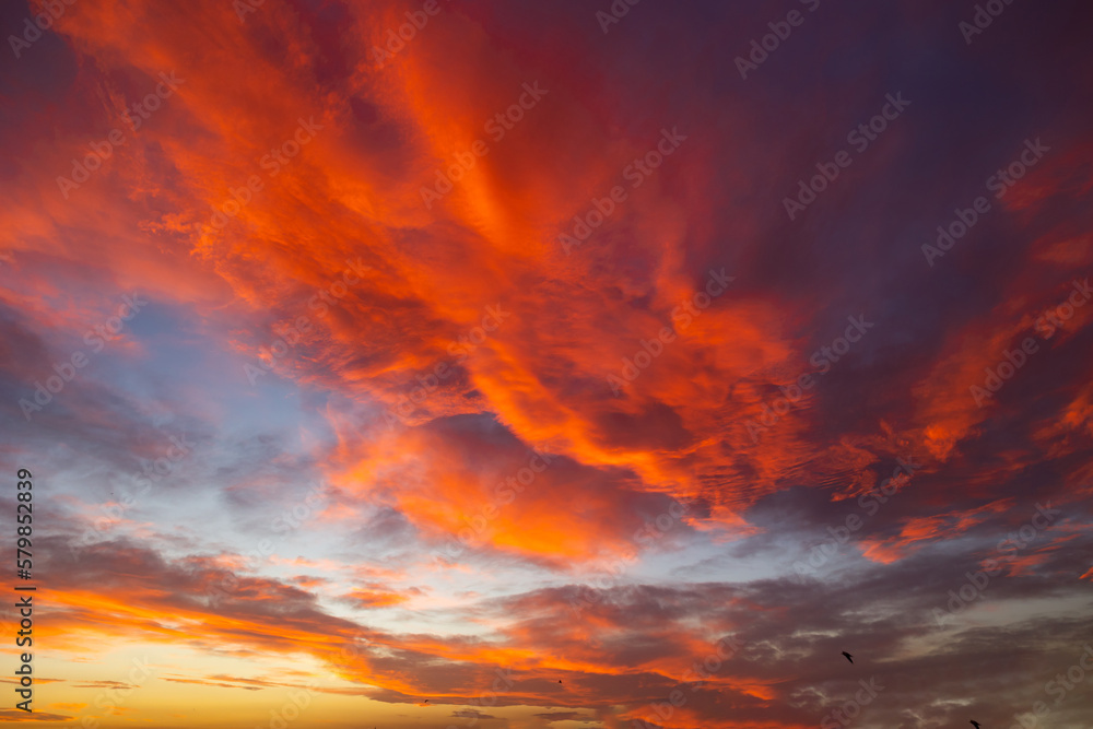 Cloudscape at sunset. Orange clouds at sunset or sunrise