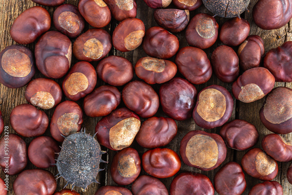 Roasted sweet chestnuts on grey rustic wooden table. Top view Roasted sweet chestnuts on grey rustic wooden table. Top view
