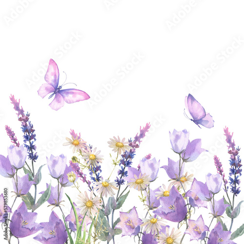 Watercolor composition, border with Herbs and wild flowers, leaves, butterflies. Botanical Illustration on white background. Template with place for text.