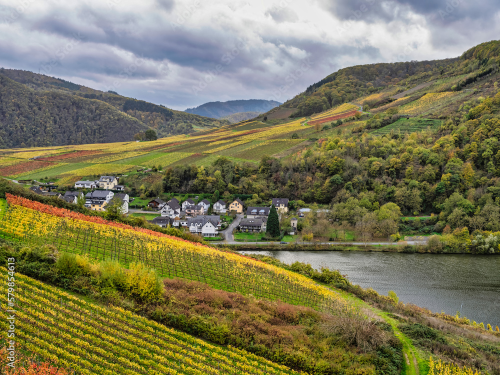 Bruttig-Fankel village berween steep vineyards on a Moselle river during a cloudy autumn day in Cochem-Zell, Germany Bruttig-Fankel village berween steep vineyards on a Moselle river during a cloudy autumn day in Cochem-Zell, Germany