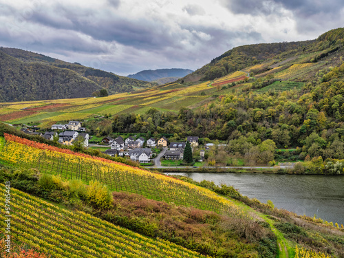 Bruttig-Fankel village berween steep vineyards on a Moselle river during a cloudy autumn day in Cochem-Zell, Germany