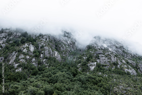 Landscape between Caleta Yungay and Tortel - traveling the Carretera Austral at the end of summer - Patagonia, Chile