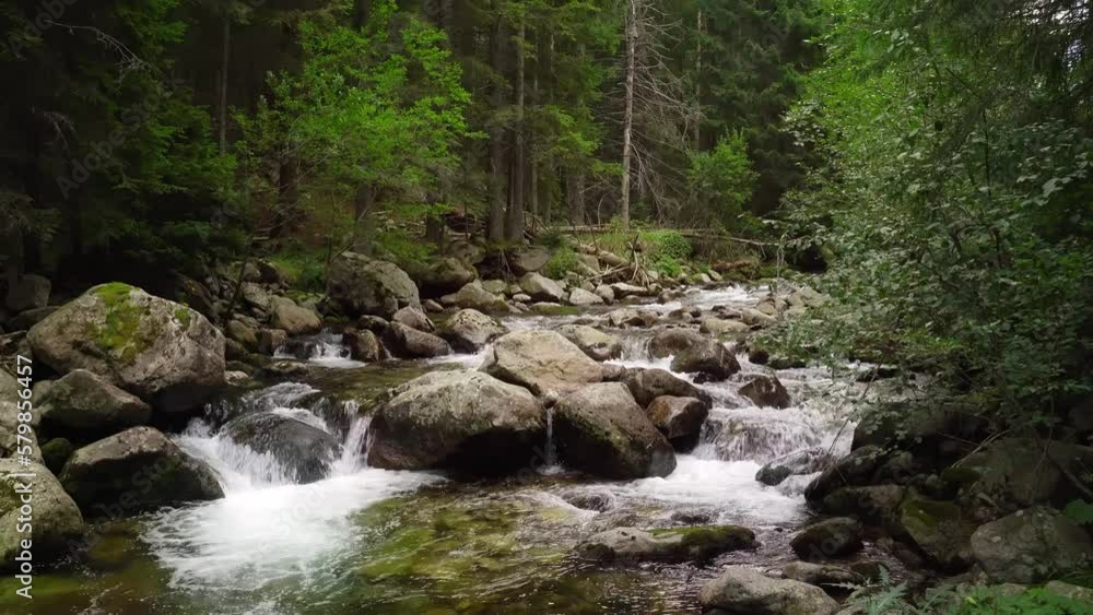 Beli iskar river in Bulgaria running through stones in green forest. Beli iskar river in Bulgaria running through stones in green forest.