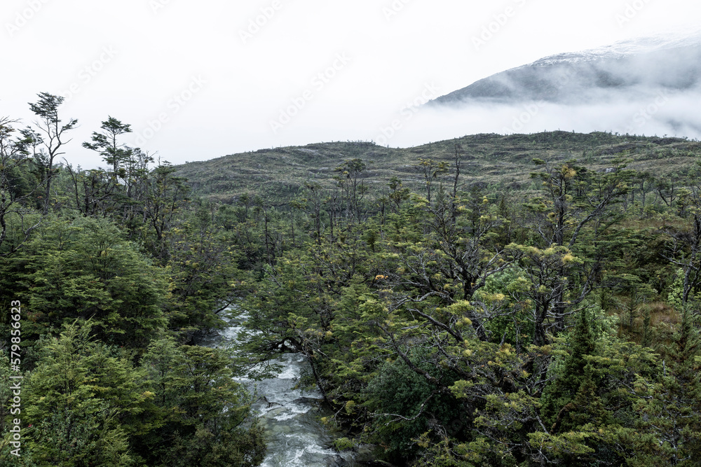 Landscape between Caleta Yungay and Tortel - traveling the Carretera Austral at the end of summer - Patagonia, Chile