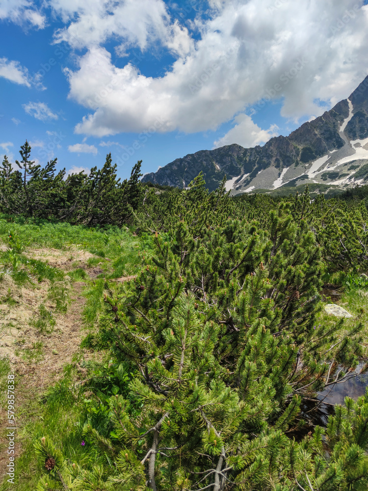 Landscape around Popovo Lake, Pirin Mountain, Bulgaria