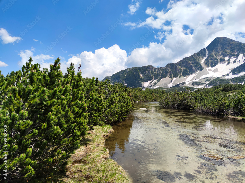 Landscape around Popovo Lake, Pirin Mountain, Bulgaria Landscape around Popovo Lake, Pirin Mountain, Bulgaria
