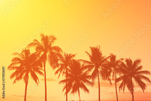 Fototapeta Naklejka Na Ścianę i Meble -  Palm trees on a golden sunset sky