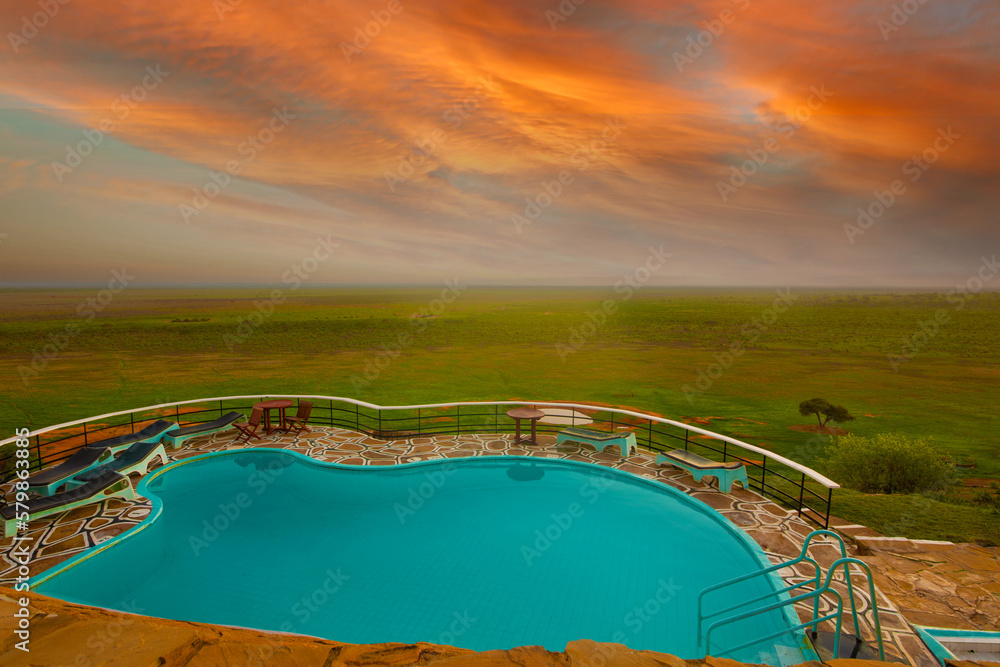 top view of exotic swimming pool in savannah near safari hotel at sunrise