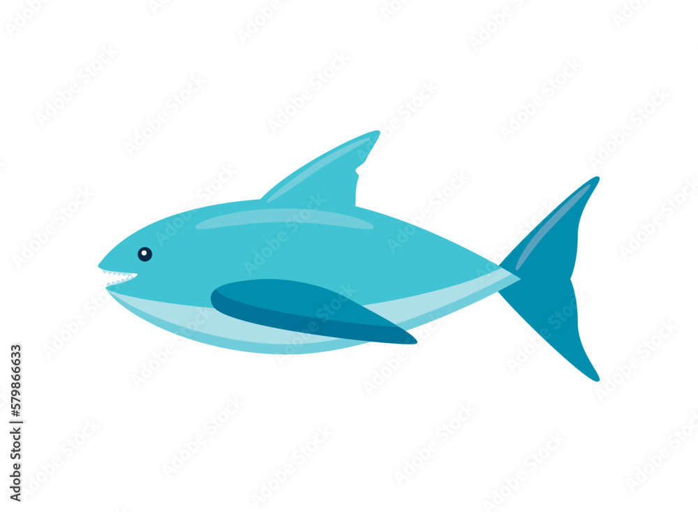 shark aquatic animal