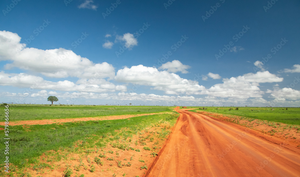 Beautiful landscape with animals, trees and mountains in Africa. Beautiful landscape with animals, trees and mountains in Africa.