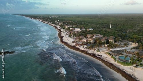 Wallpaper Mural Sargassum Seaweed Crisis with Beaches in Mexico Battling Gulfweed Invasion Torontodigital.ca