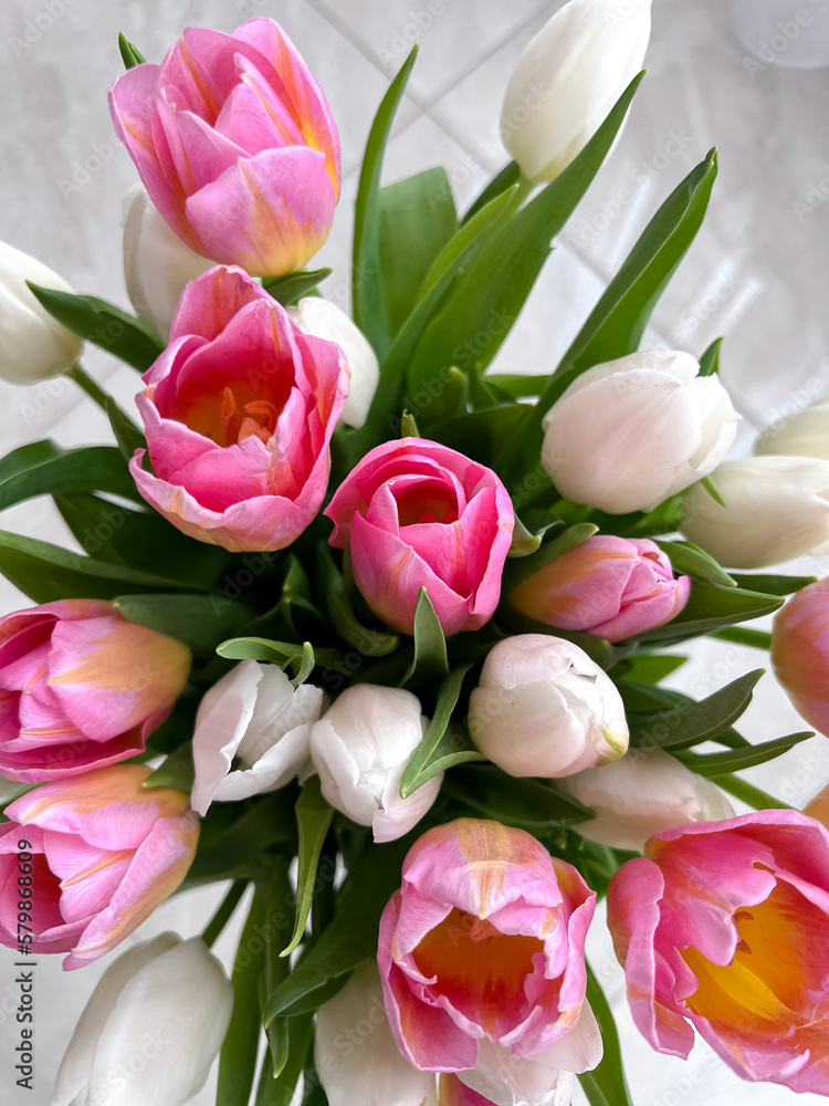 Obraz premium bouquet of pink tulips