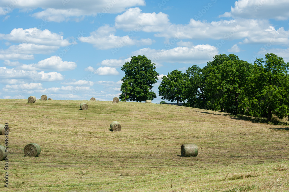 Hay bales on a hillside with tress and meadow