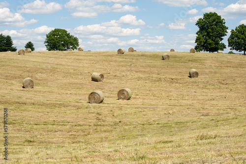 Hay bales in a scenic landscape