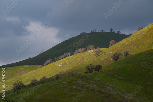 Rolling Foothills of the Sierra Nevada Mountains, Tulare County photo