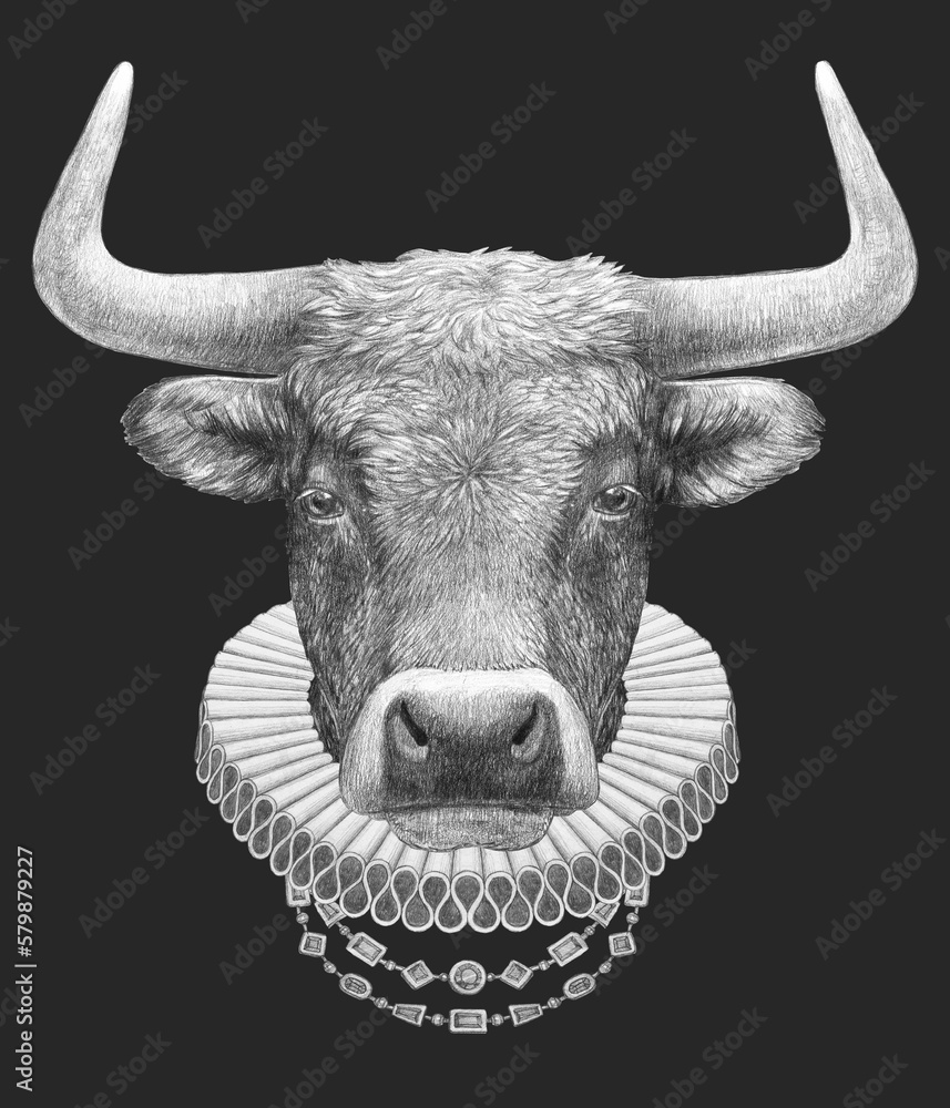 Naklejka premium Portrat of Bull with Elizabethan Collar. Hand-drawn illustration
