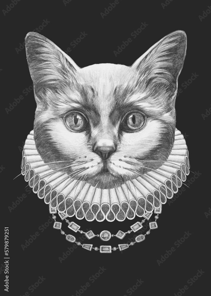 Portrat of British Shorthair Cat with Elizabethan Collar. Handdrawn