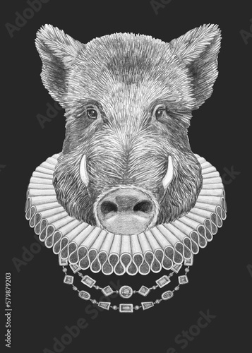 Canvas Print Portrat of Boar with Elizabethan Collar. Hand-drawn illustration