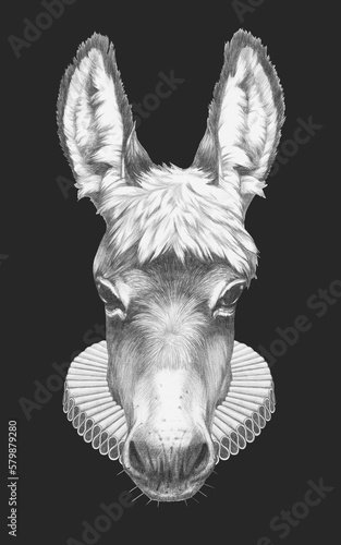 Portrat of Donkey with Elizabethan Collar. Hand-drawn illustration