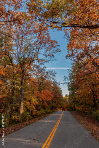 "Country Road in the Fall"