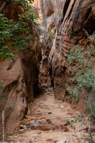 Zion national park slot canyon